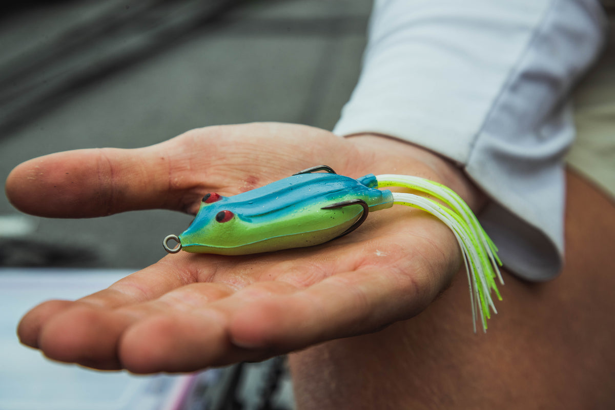 TIPS FOR A SNAG PROOF FISHING TRIP!