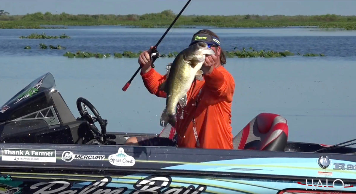 The New Black Widow & Giant Florida Largemouth