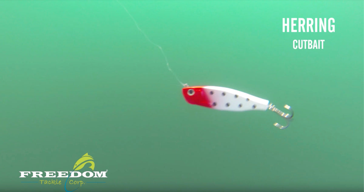What it Looks Like | Herring Cutbait