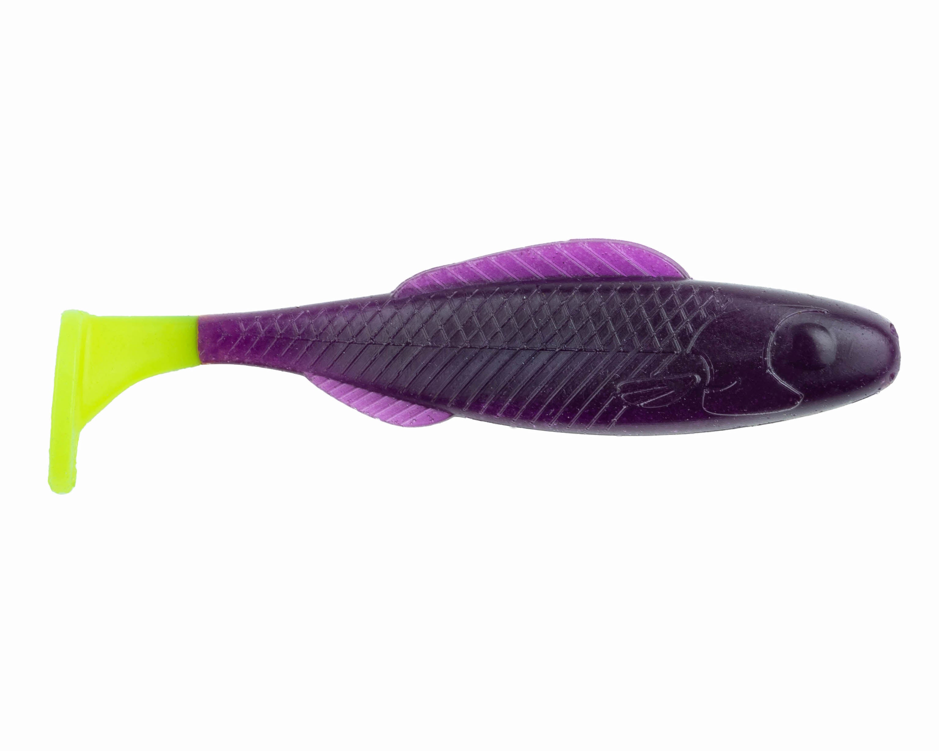 GO2 Minnow - BaitFuel Saltwater