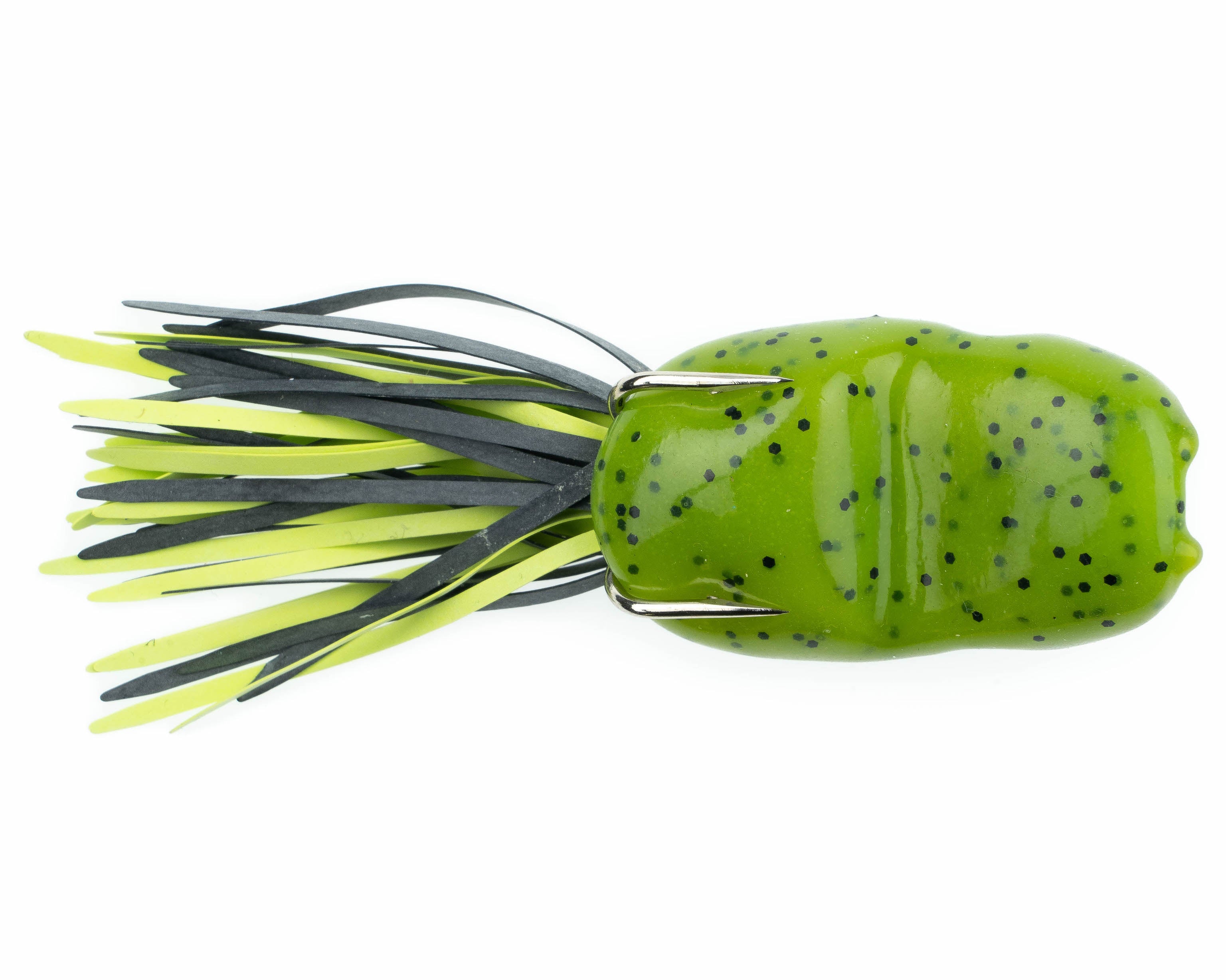Watermelon Seed