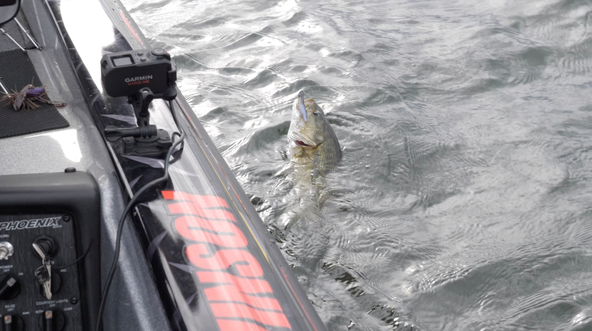Fishing Spotted Bass With The NetBait Little Spanky