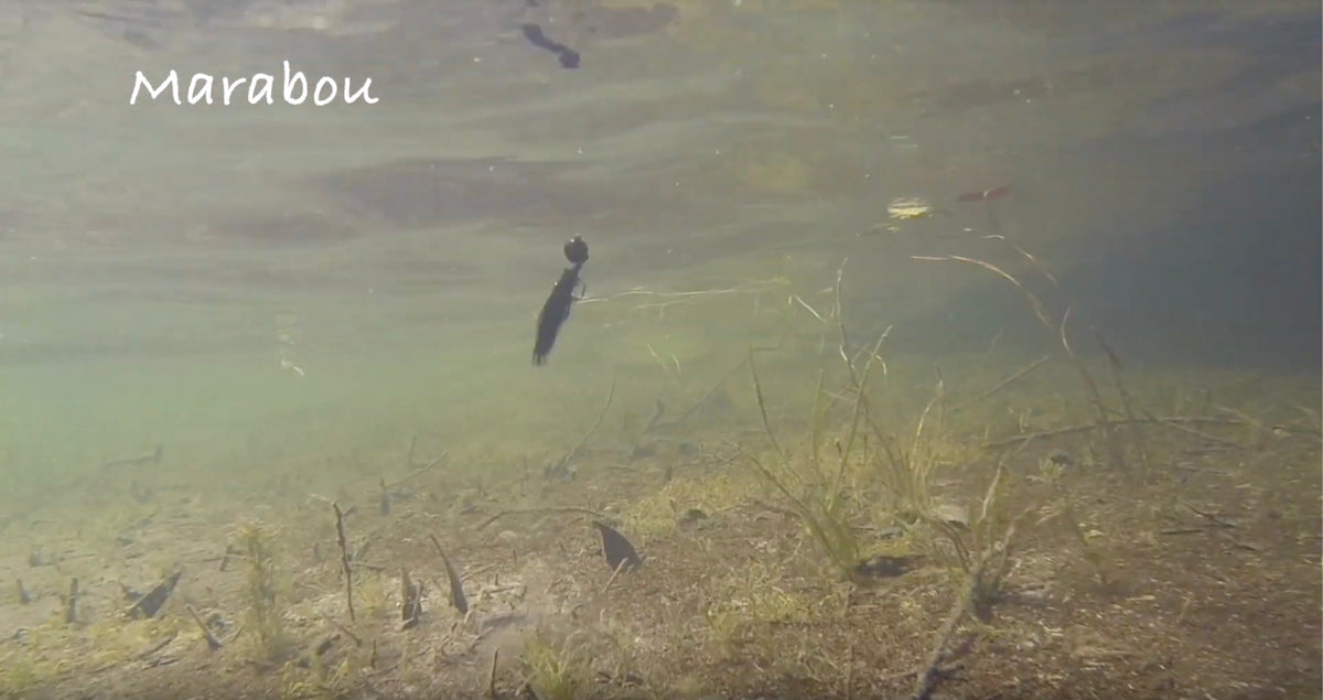 What it Looks Like | Marabou Jig