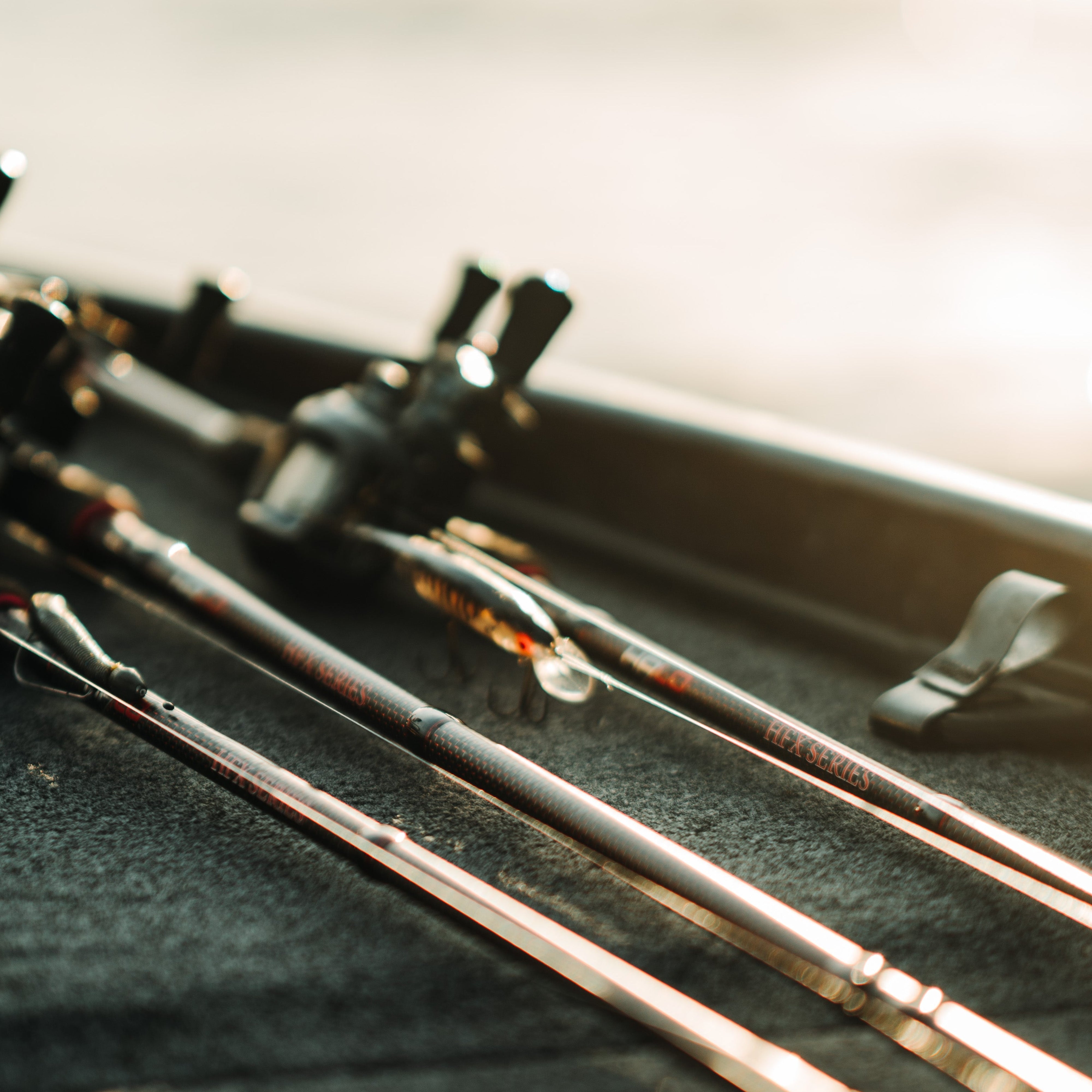 Halo Rods - All Products