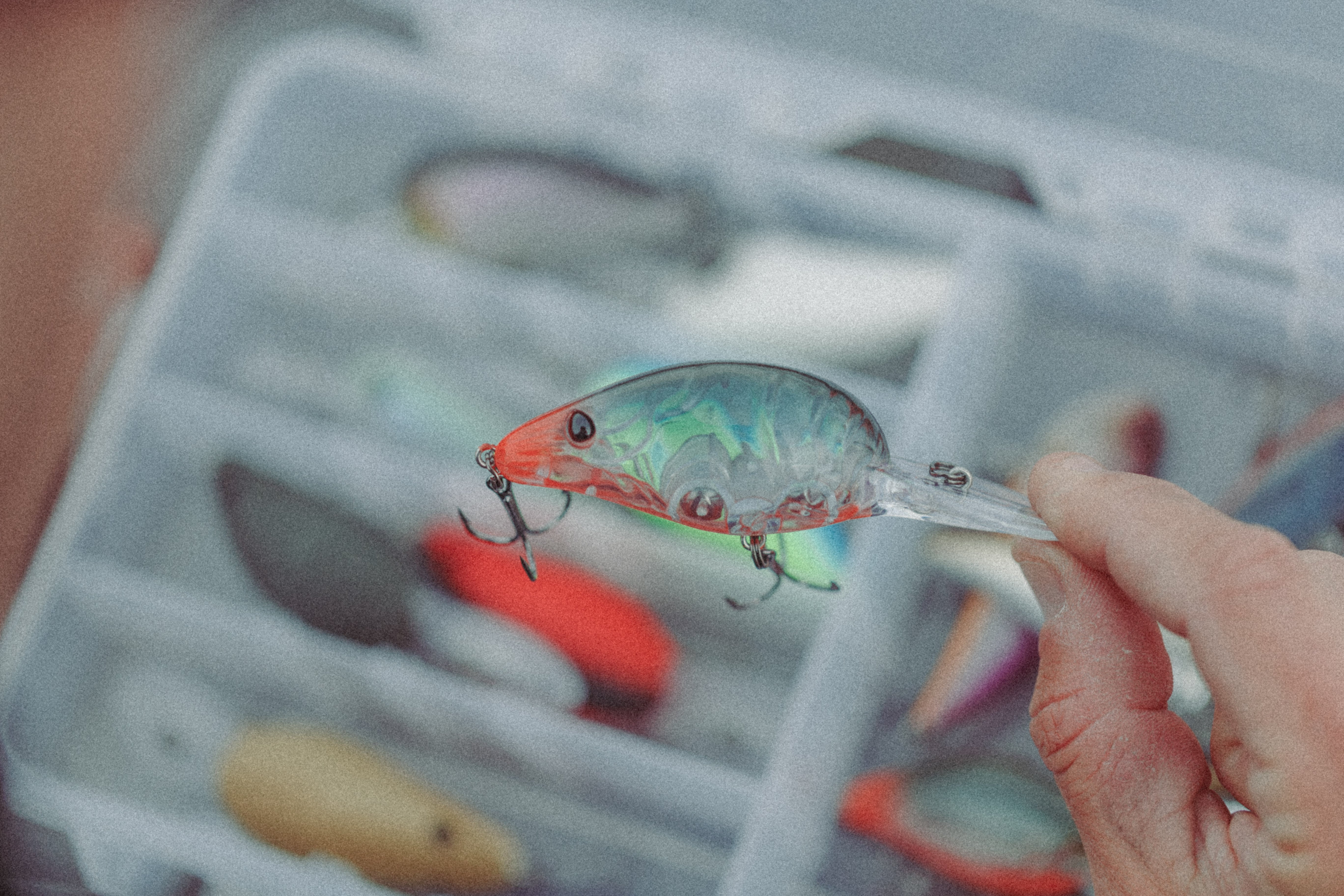 Hard Baits