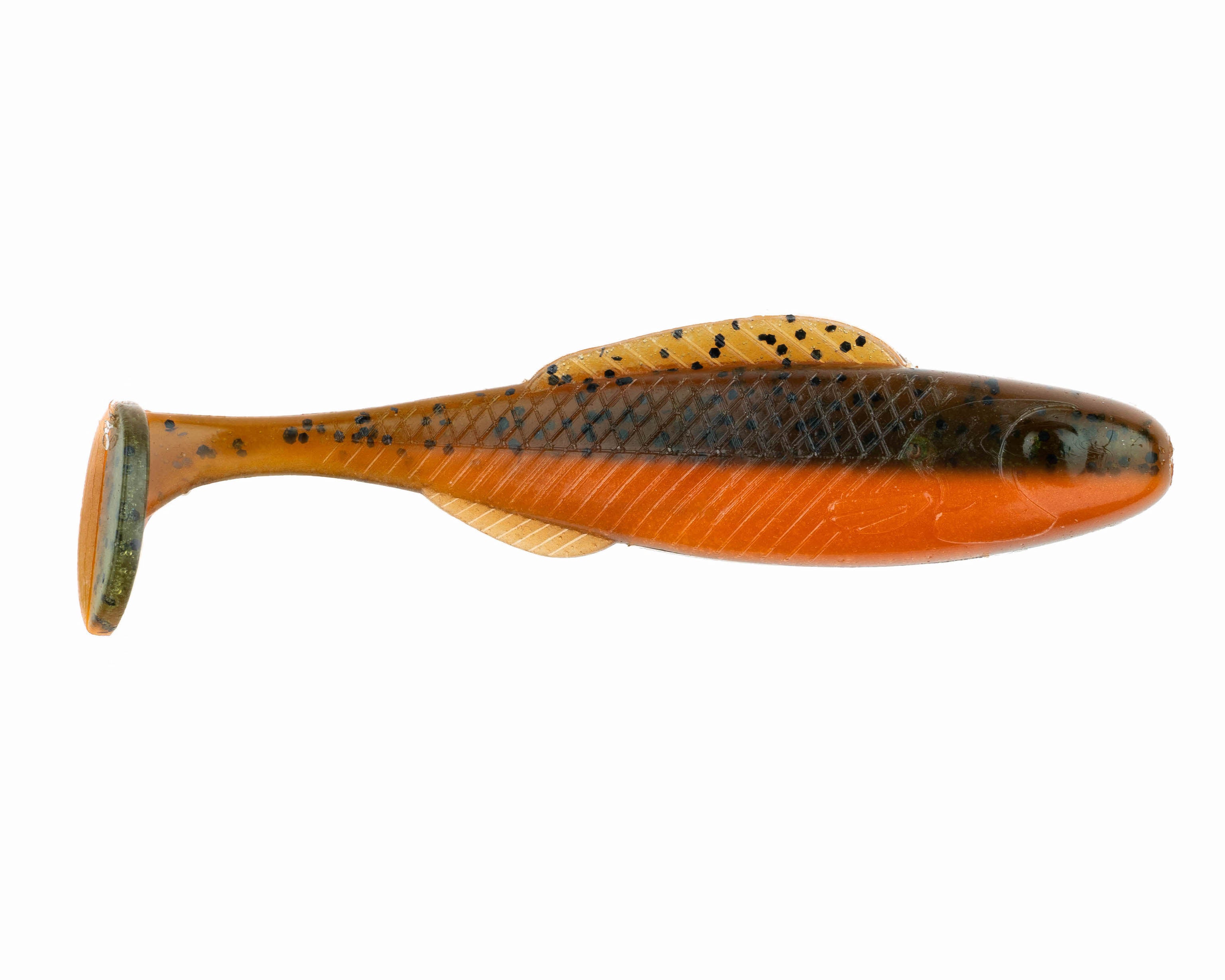 GO2 Minnow - BaitFuel Saltwater