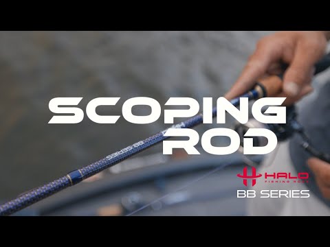 BB Series - Justin Hamner Fishing Rods