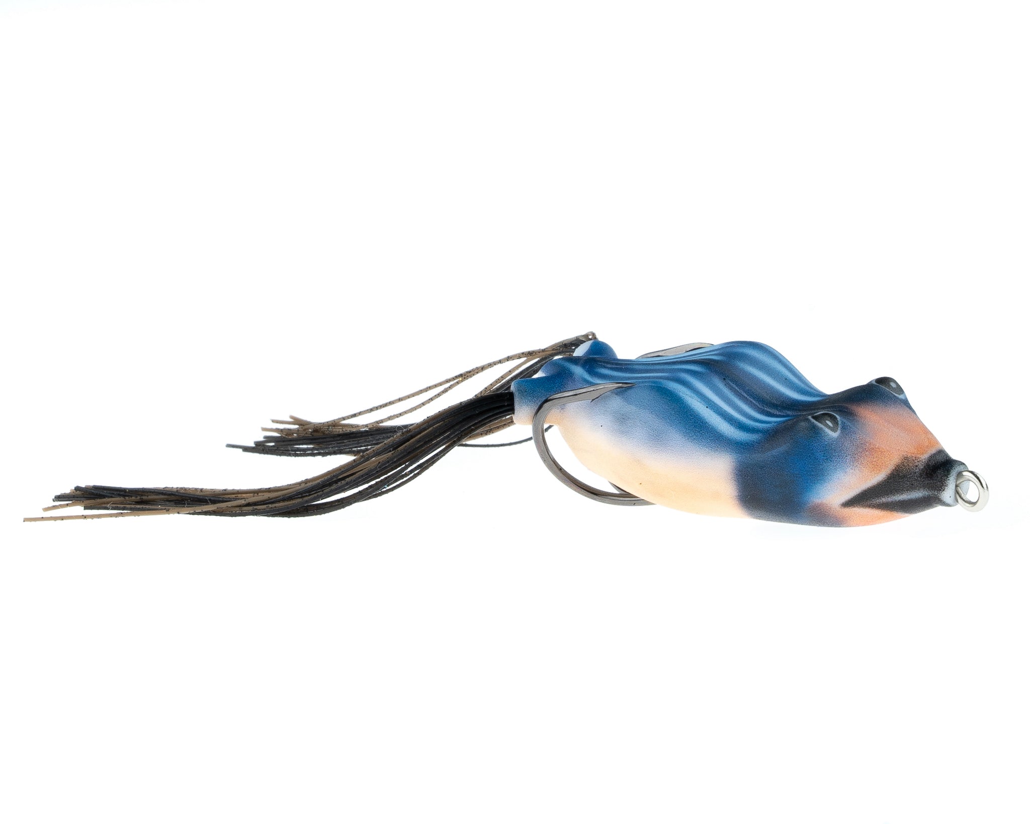 SWALLOW