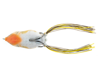 BLUEGILL
