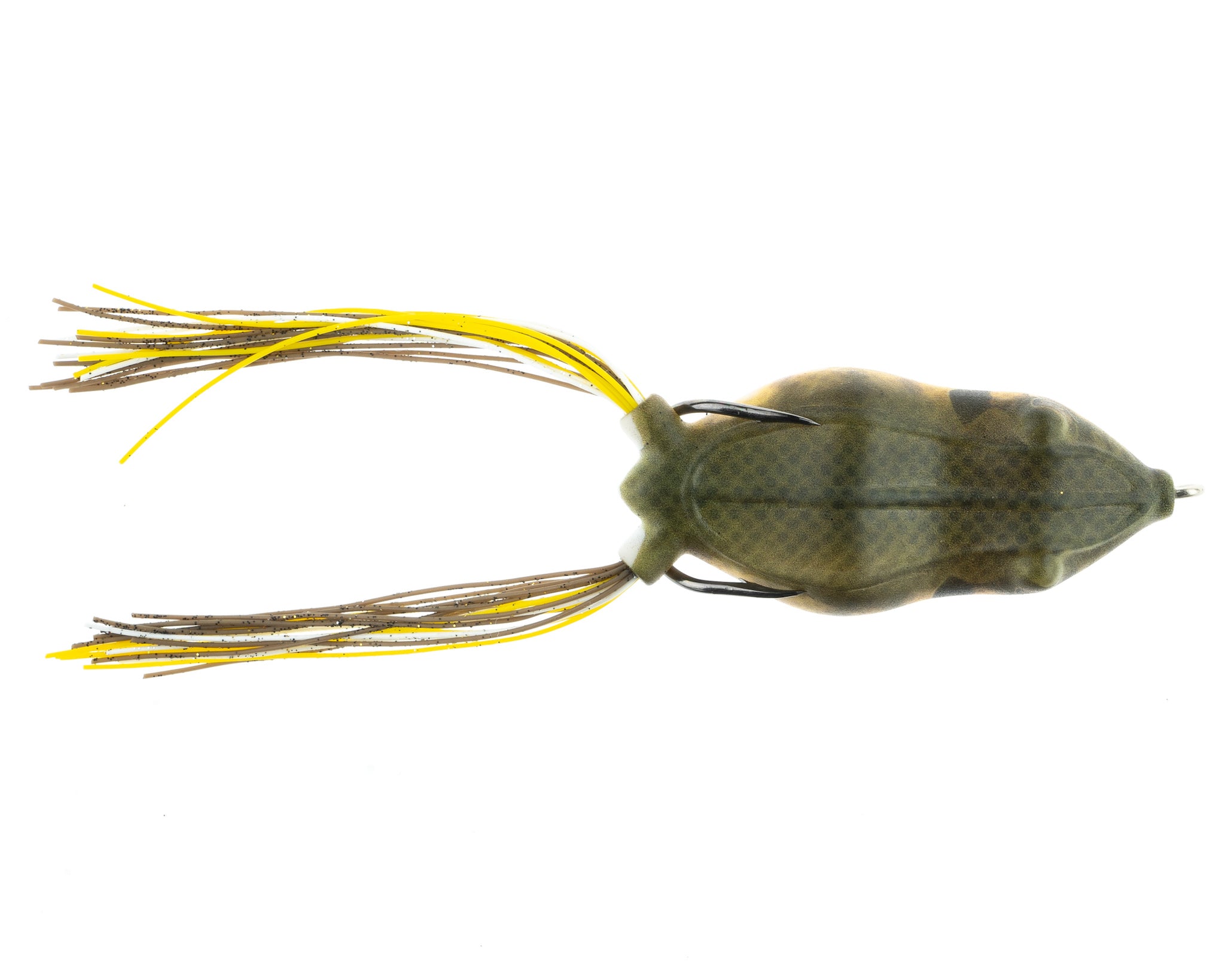 BLUEGILL