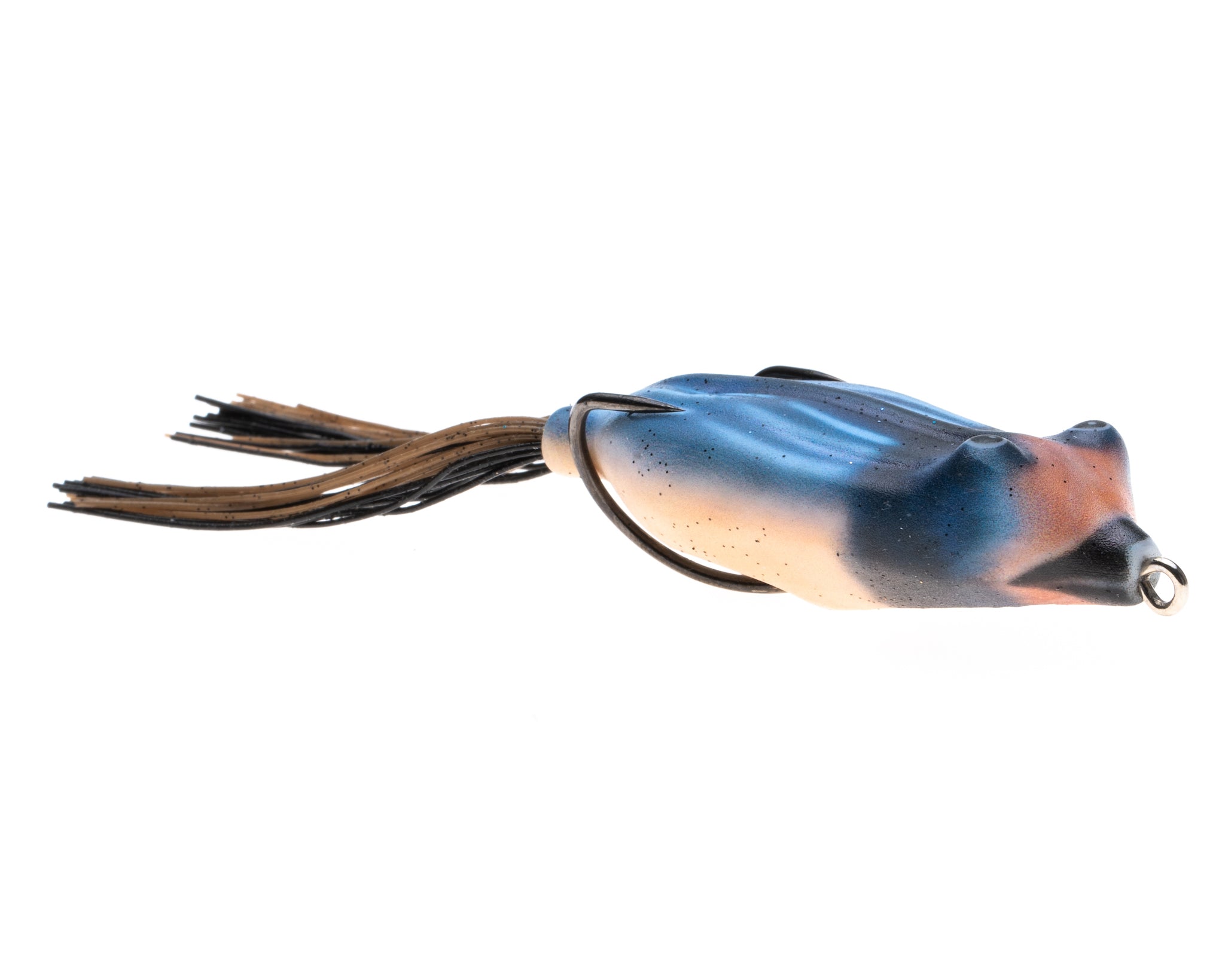 SWALLOW