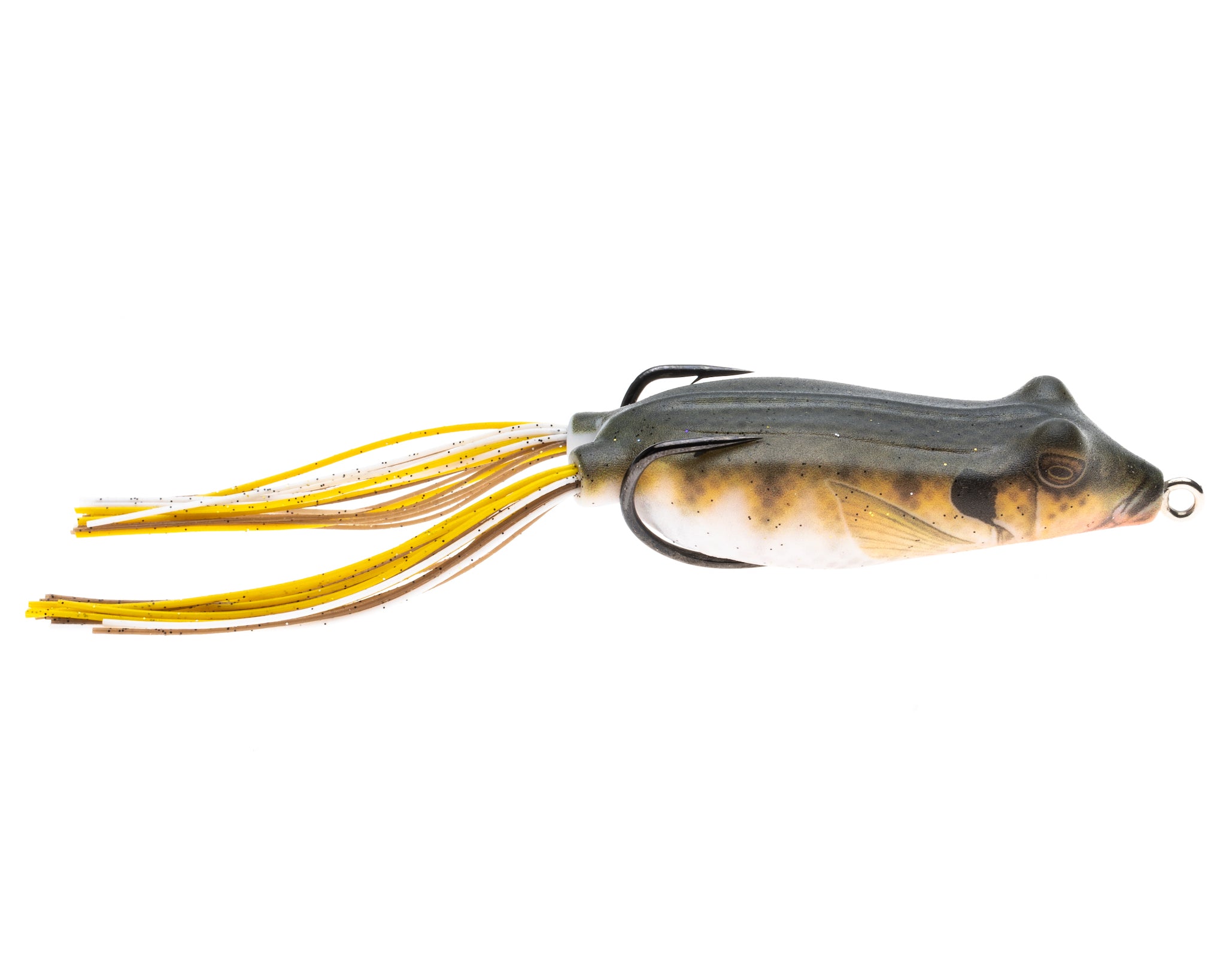 BLUEGILL