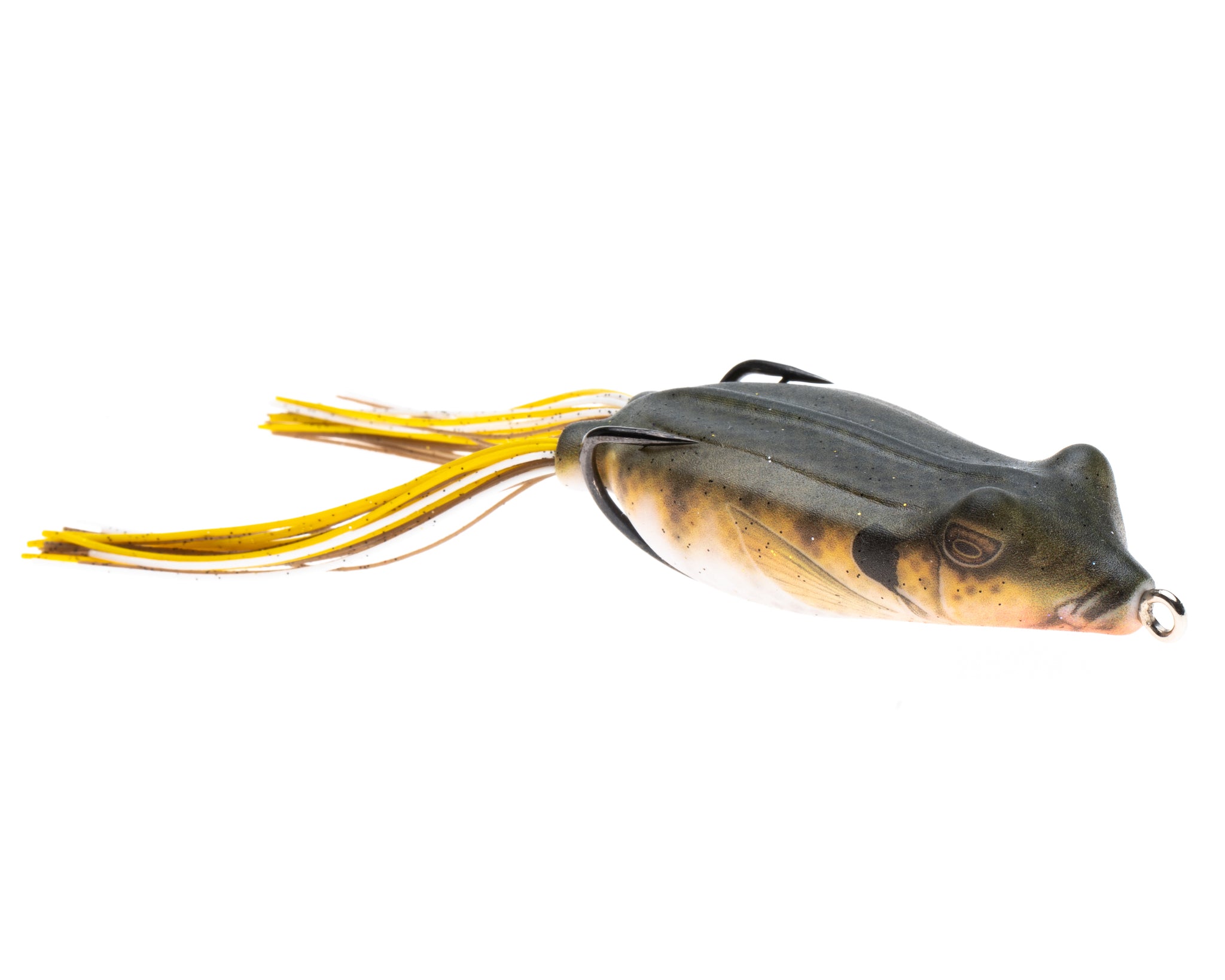 BLUEGILL