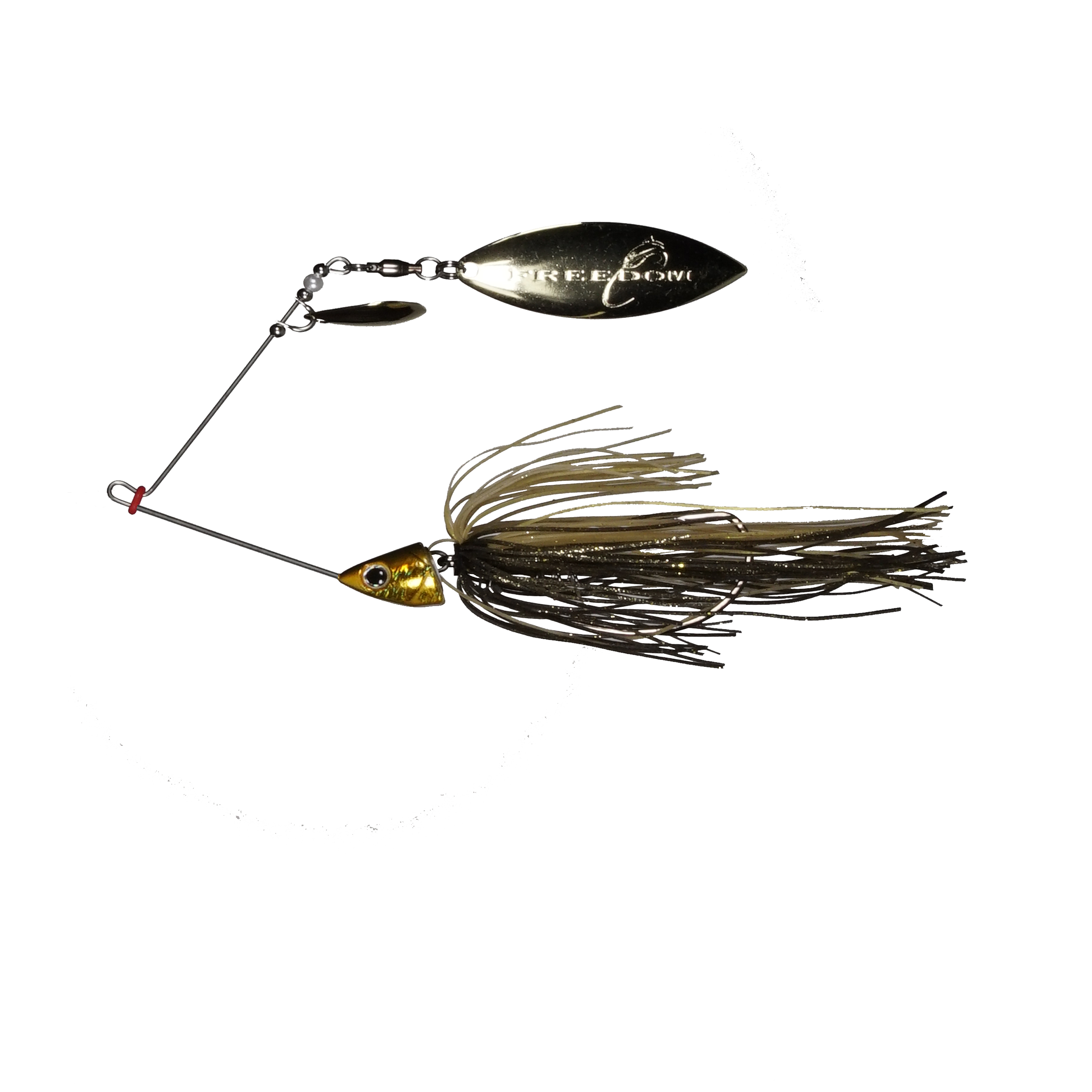 Golden Shiner
