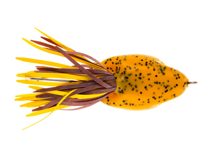 Pumpkin Seed
